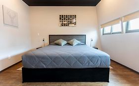 505 Heart Of Cdmx 1Bdrm 1Bath Apt Ac Rooftop